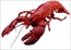 lobster's Avatar